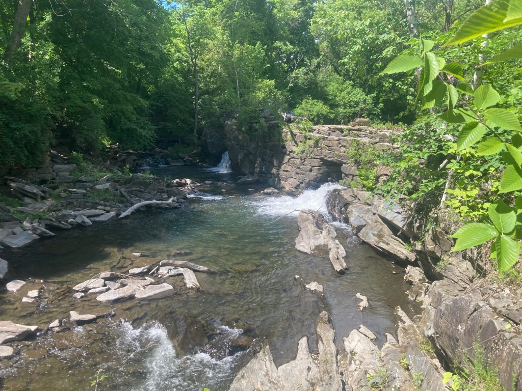 Request for Proposals Removing Montague Dam in Thetford, Vermont